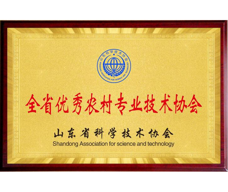 全省农村专业技术协会